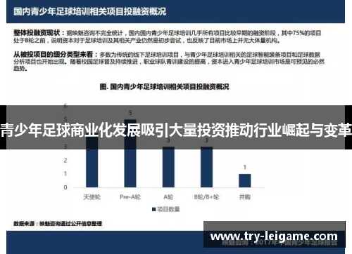青少年足球商业化发展吸引大量投资推动行业崛起与变革 青少年足球商业化发展吸引大量投资推动行业崛起与变革