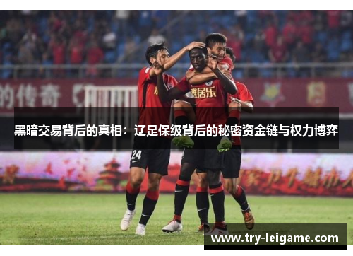黑暗交易背后的真相:辽足保级背后的秘密资金链与权力博弈 黑暗交易背后的真相:辽足保级背后的秘密资金链与权力博弈